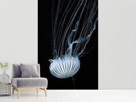 photo-wallpaper-beware-jellyfish