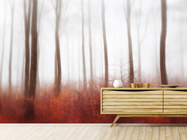 photo-wallpaper-endless-woods-x