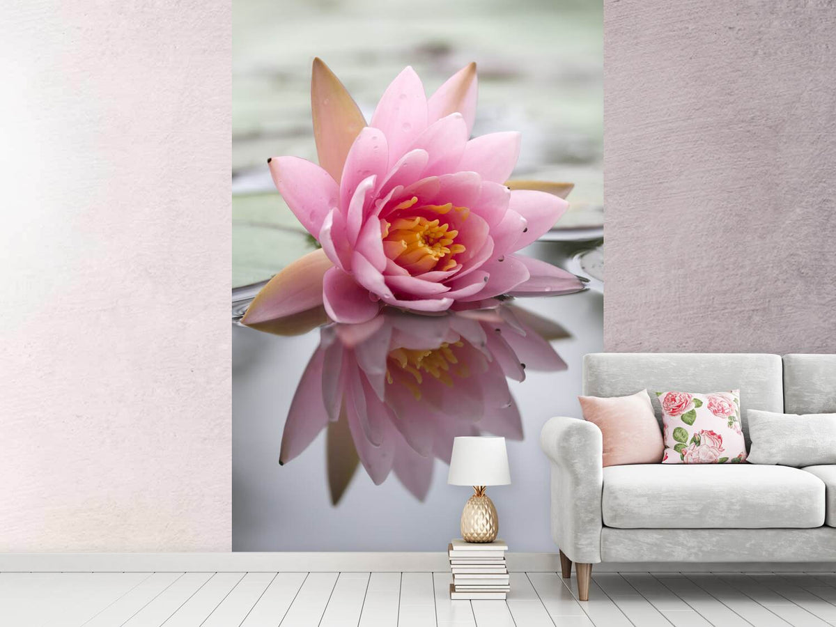 photo-wallpaper-lotus