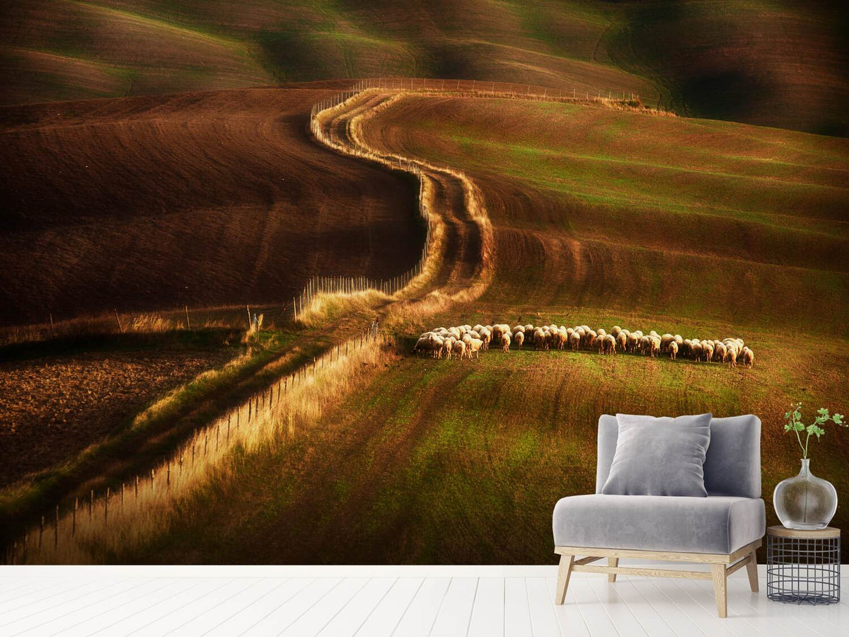 photo-wallpaper-crossing-the-fields-x