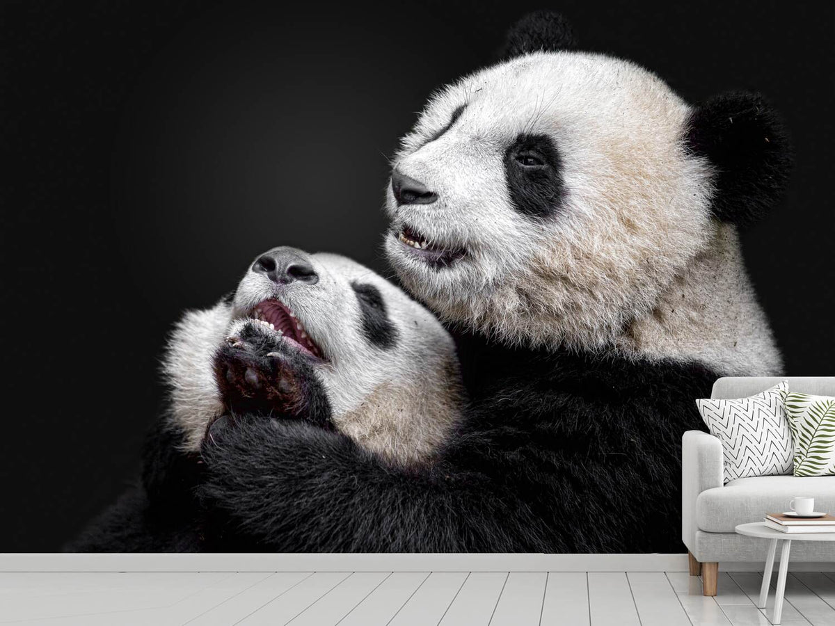 photo-wallpaper-pandas-x