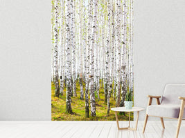 photo-wallpaper-the-birch-forest-in-the-spring