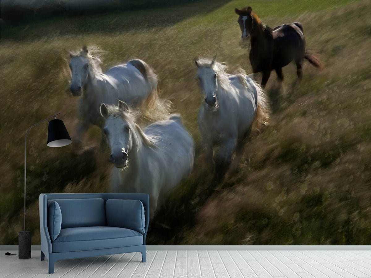 photo-wallpaper-gallop-in-x