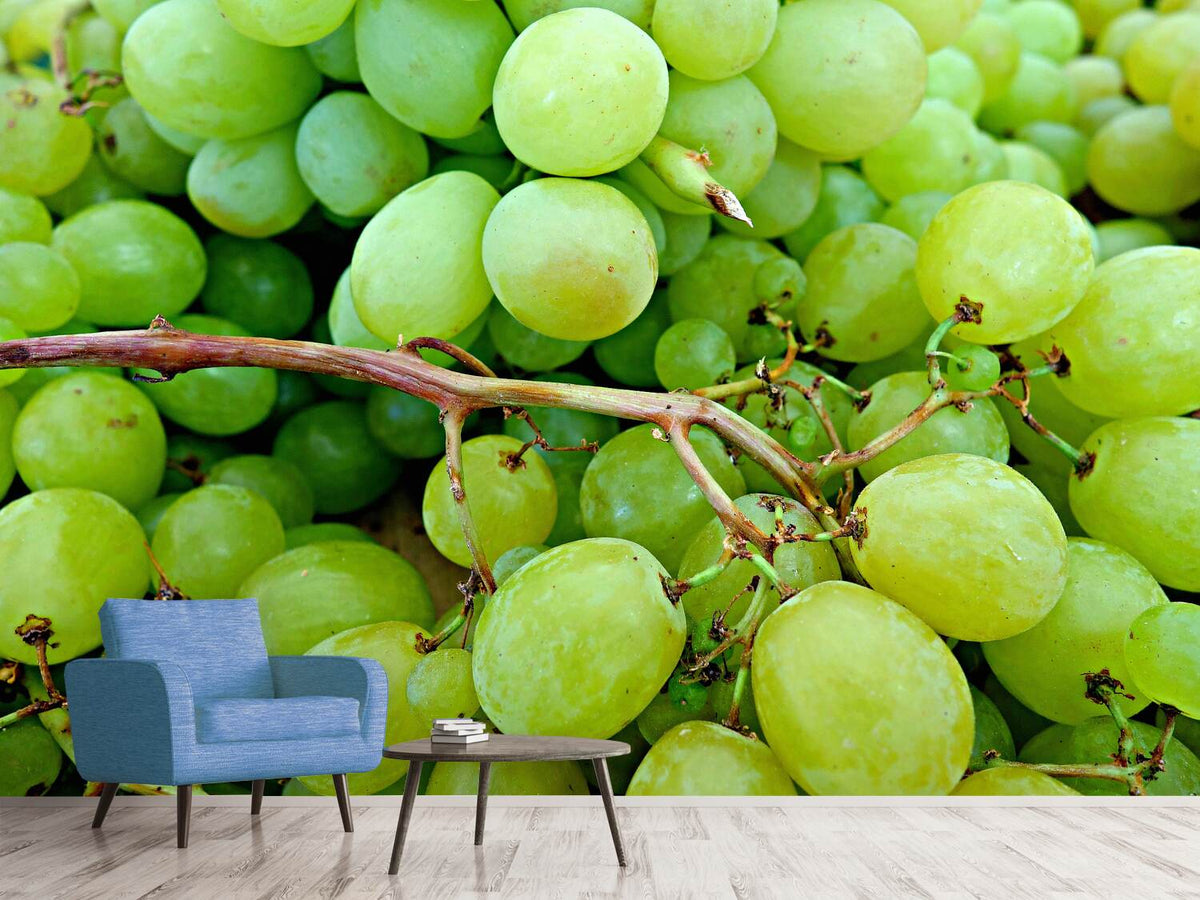 photo-wallpaper-green-grapes