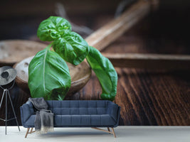 photo-wallpaper-fresh-basil-xl