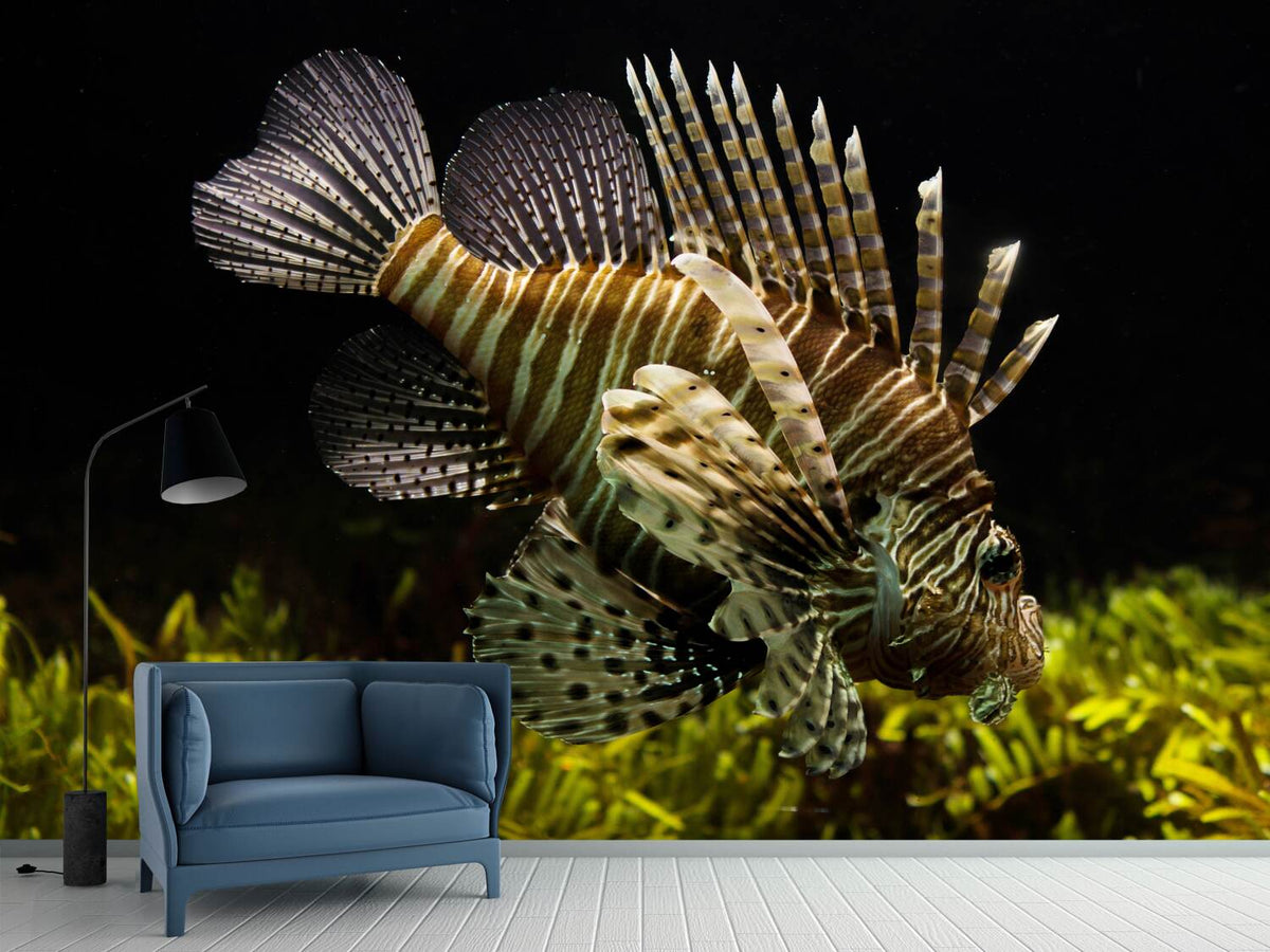 photo-wallpaper-lion-fish