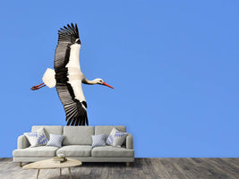 photo-wallpaper-the-stork-in-action