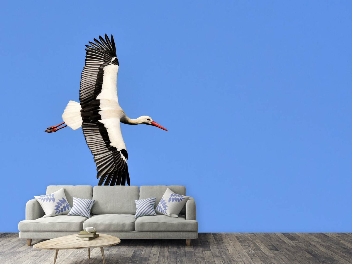 photo-wallpaper-the-stork-in-action