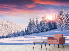 photo-wallpaper-winter-landscape