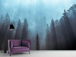 photo-wallpaper-light-to-be-believed-likely-x