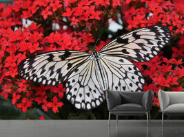 photo-wallpaper-butterfly-in-xxl