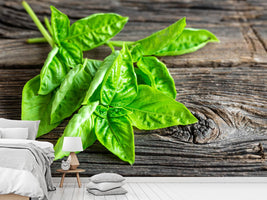 photo-wallpaper-basil-leaves-ii