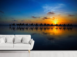 photo-wallpaper-sunset-camel-ride