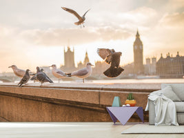 photo-wallpaper-the-pigeons-on-the-roof