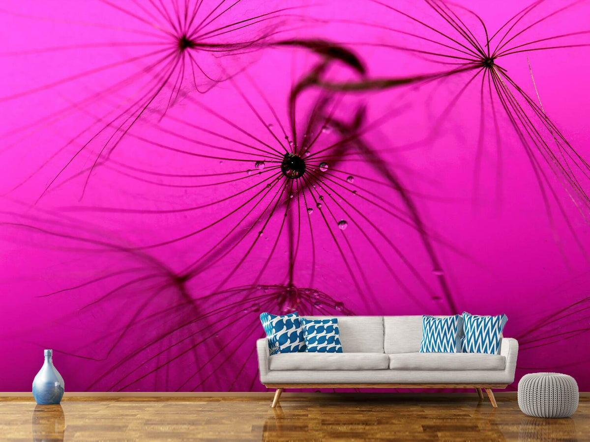 photo-wallpaper-dandelion-in-pink