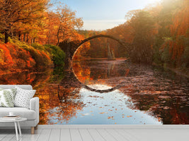 photo-wallpaper-autumn-lake-x