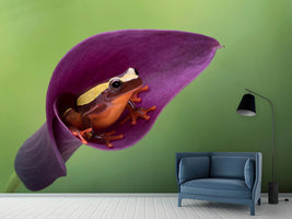 photo-wallpaper-frog-cubby-house