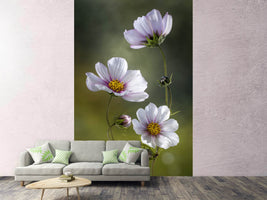 photo-wallpaper-cosmos-ii