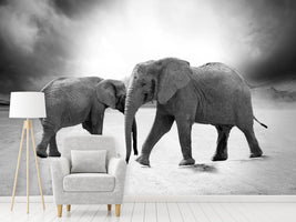 photo-wallpaper-2-elephants-sw