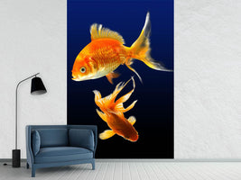 photo-wallpaper-charming-fish