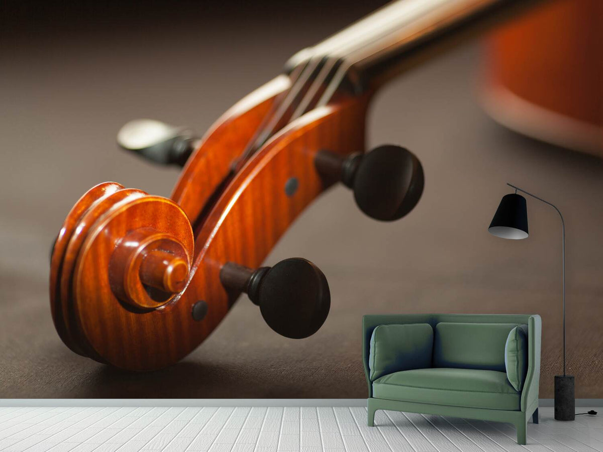 photo-wallpaper-close-up-violin